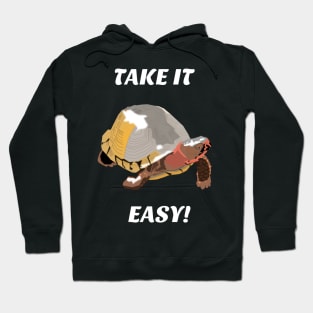 Take it Easy Turtle Hoodie